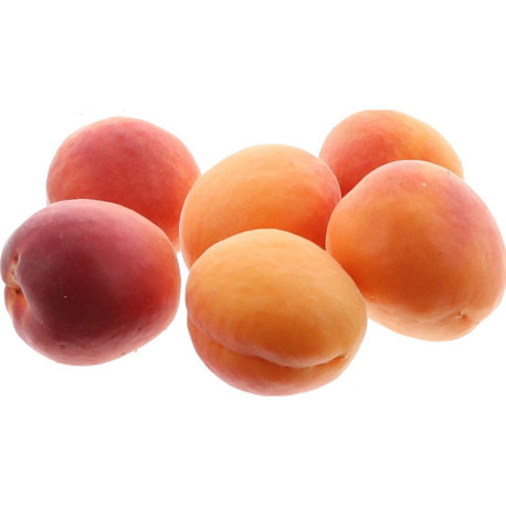ABRICOT PRICIA NOURRIT AA 5KG